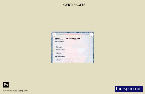 listo para imprimir plantilla de certificación de nacimiento de la Oficina Estat